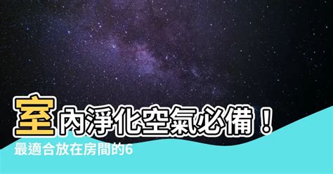 適合放房間的植物|什麼植物可以放房間？淨化空氣必備的 7 大室內植物推薦